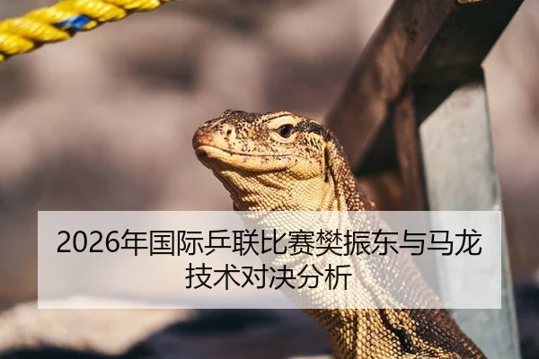 2026年国际乒联比赛樊振东与马龙技术对决分析