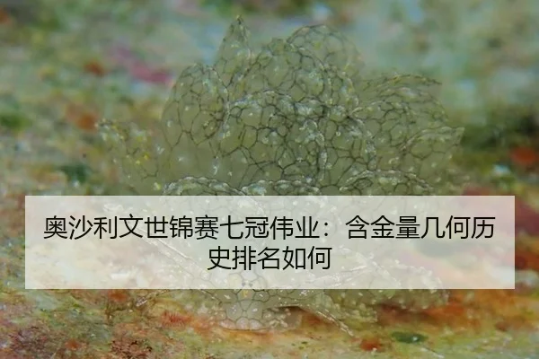 奥沙利文世锦赛七冠伟业：含金量几何历史排名如何