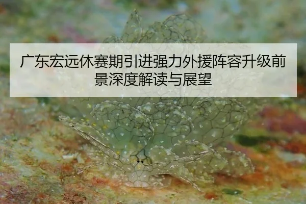 guang-dong-hong-yuan-xiu-sai-qi-yin-jin-qiang-li-wai-yuan-zhen-rong-sheng-ji-qian-jing-shen-du-jie-du-yu-zhan-wang-2-794.jpg