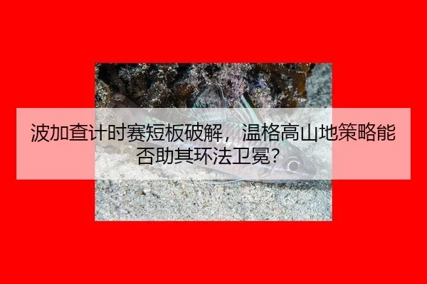 bo-jia-cha-ji-shi-sai-duan-ban-po-jie-wen-ge-gao-shan-di-ce-lve-neng-fou-zhu-qi-huan-fa-wei-mian-2-492.jpg